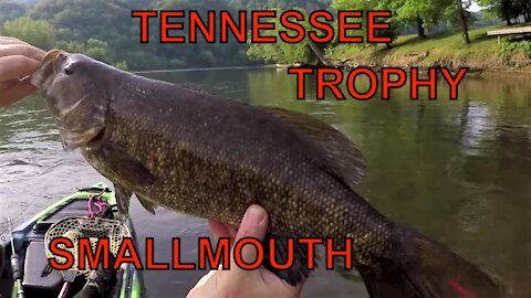 Tennessee Trophy Smallmouth