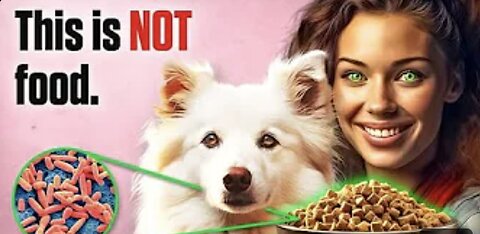 The Disturbing Reality of Dog Food