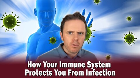 How Your Immune System Protects You From Infection