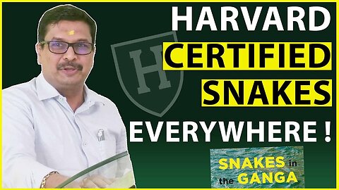 Harvard certified snakes everywhere! MR. Venkatesh