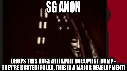 SG Anon Drops This HUGE Affidavit Document Dump - They're BUSTED!!!