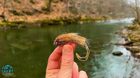 This Curly Tailed Streamer is INSANE! (Winter Fly Fishing)