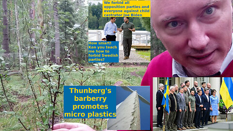 Sweden, Zelenskyy and Wallenberg. Details of Zelenskyy's Stockholm plunder. Wind power plastics