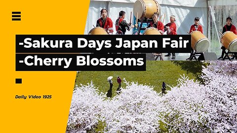 Sakura Days Japan Fair Sights, Vancouver Cherry Blossoms And Flowers Festival Drone View