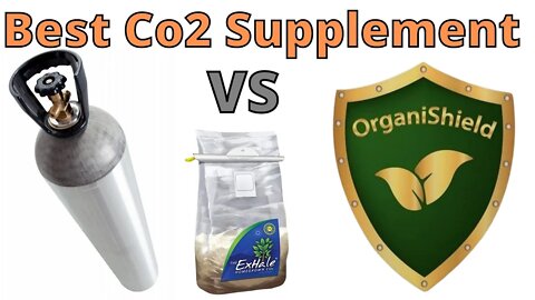 The Best CO2 Supplement