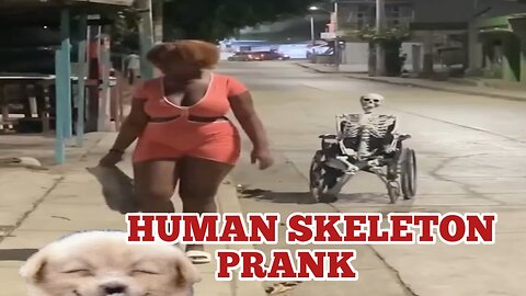 Human skeleton prank #prank #prankvideo