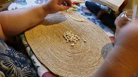 How to Collect & Save Bean Seed