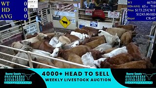 1/3/2023 - Beaver County Stockyards Livestock Auction