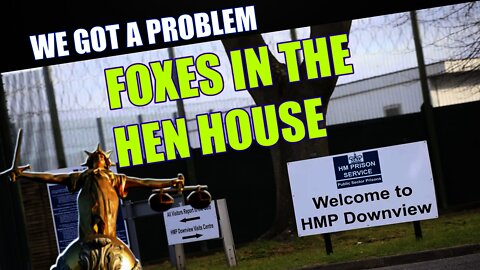 The Results Of Crazy Policies That Put The Foxes In The Hen House