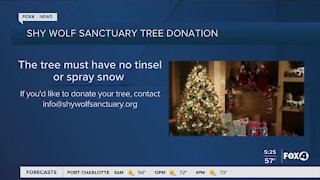 Shy Wolf Sanctuary would like Tree Donations