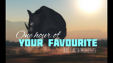 One Hour Of Your Favourite BBC Earth Moments | Wildlife