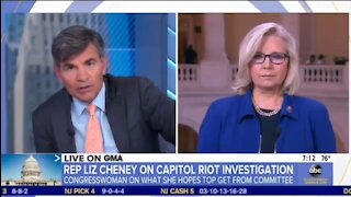 Liz Cheney Claims She’s A ‘Conservative Republican’