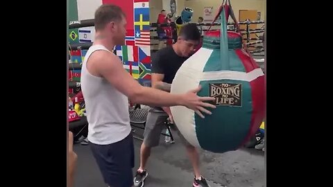 Canelo Alvarez teaching Brandon Moreno the art of boxing