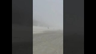 Wow! Weird Fog turned beach goers into shuffling zombies! 🧟‍♂️🧟‍♀️ #shorts