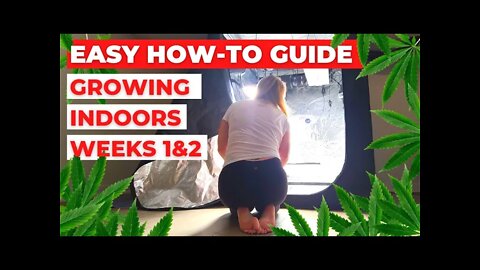 How To Grow Weed Indoors - Easy Guide #marijuana