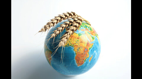 WEF: Global Food Crisis