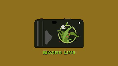Macro Live