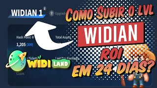 Widiland Como Subir o Level do Widian e Roi em 24 dias?