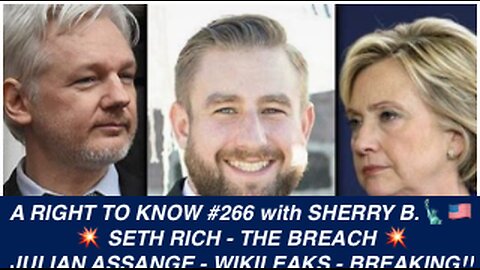 ARTK#266 SETH RICH, DNC HACK, JULIAN ASSANGE, “THE BREACH, Murder for Hire Beyond Reasonable Doubt!”