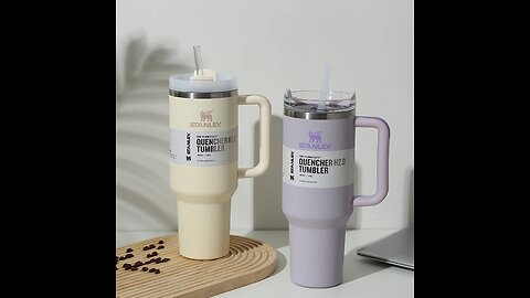 Stainless Steel Vacuum Insulated Tumbler with Lid and Straw