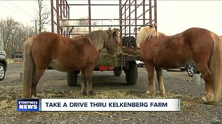 Clarence farm offering free drive-thru tour for families this weekend