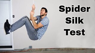 Is Spider Silk Stronger Than Steel?