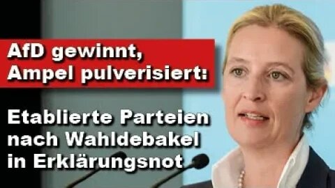 AfD gewinnt, Ampel pulverisiert: Etablierte Parteien nach Wahldebakel in Erklärungsnot (Wochenstart)