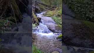 Relaxing stream at Calliery Dam Park #nature #relax