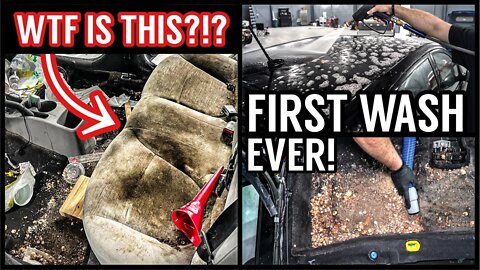 Can This DISASTER Hyundai Be Saved?! First Wash Since Brand New | Insane Car Detailing Restoration!