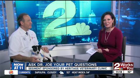 Dr. Joe and Fiona answer pet questions March 29, 2018
