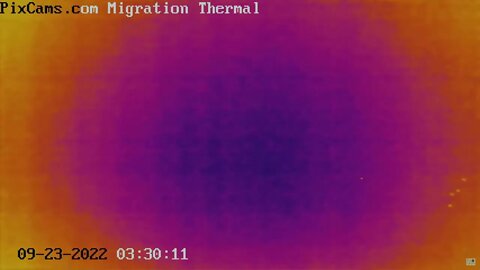 Fall Migration 2022 Thermal Camera - 5 different small tight flocks over 5 hours