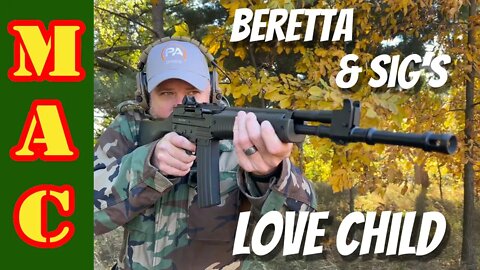 How did Beretta and Sig wind-up making such similar rifles? Beretta AR70 vs Sig 550