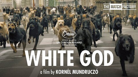 White God (2014) Movie Explained|Mr Hindi Rockers|