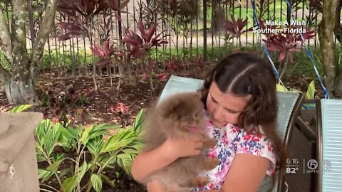 Girl battling genetic disease has doggy wish come true