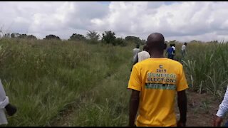 SOUTH AFRICA - KwaZulu-Natal - Crocodile terrorises villagers (Videos) (DhS)