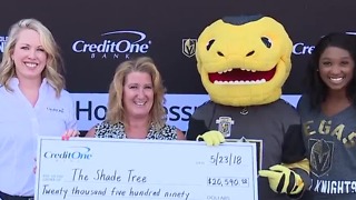 Vegas Golden Knights, Credit One Bank donate $37K to charity