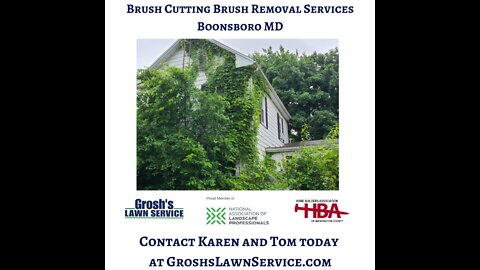 Brush Cutting Boonsboro Maryland Video Landscape