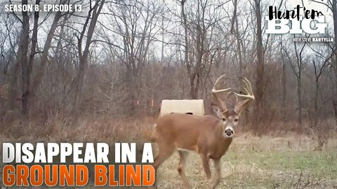 Stay Invisible to Deer in a Ground Blind