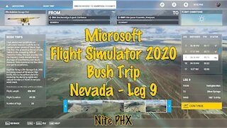 MSFS2020 Multiplayer Bush Trip Nevada Leg 9