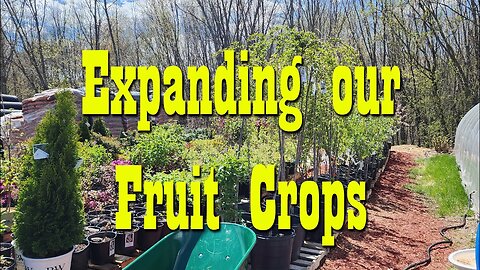 Shopping at the Farm store for Fruit Trees & Bushes ~ Grow your own food
