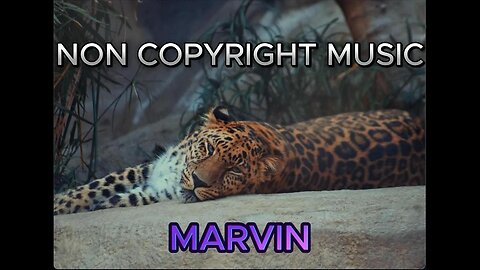 Brighttown - Hide your heart,volt vision | Non copyright music (Marvin)