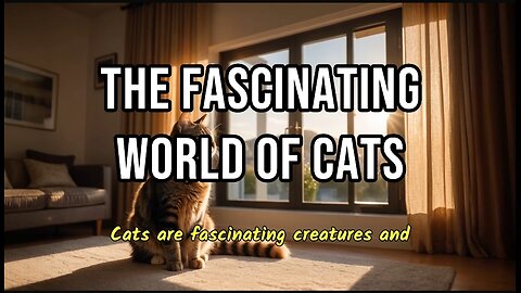 Fascinating world of cat