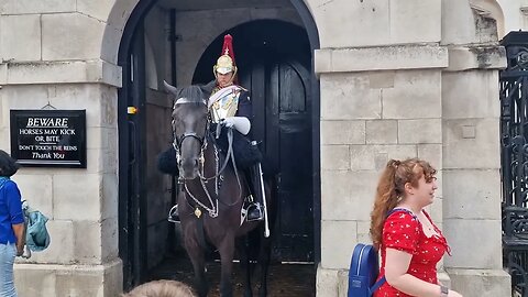 Horse loves strawberry 😆 #horseguardsparade