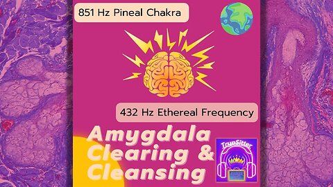 Rainbow Brain Activation 🧠🌈👁️ | Pineal Gland Clearing #851hz | Amygdala Parasympathetic Cleansing