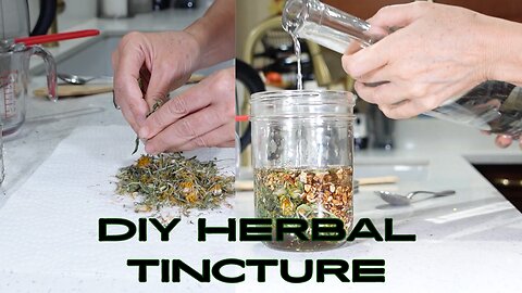 How To make Dandelion Tincture