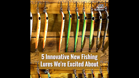 5 Innovative New Fishing Lures We're Excited About