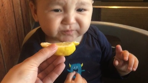Baby Cousins Try Lemons For The First Time