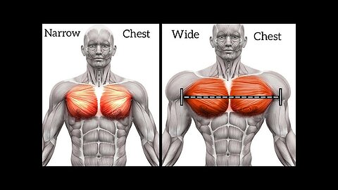 chest workout machine at home #abs #unlimate #gym #WORKOUT #bestbellyfat