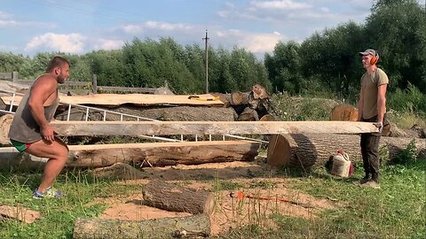 The oaks interfered with the sawing of the spruce. Spruce slabs