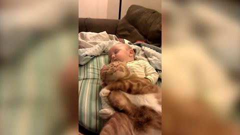 14 Cutest Snuggling Babies